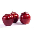 natural red star apple sweet red apple round apple with thin skin